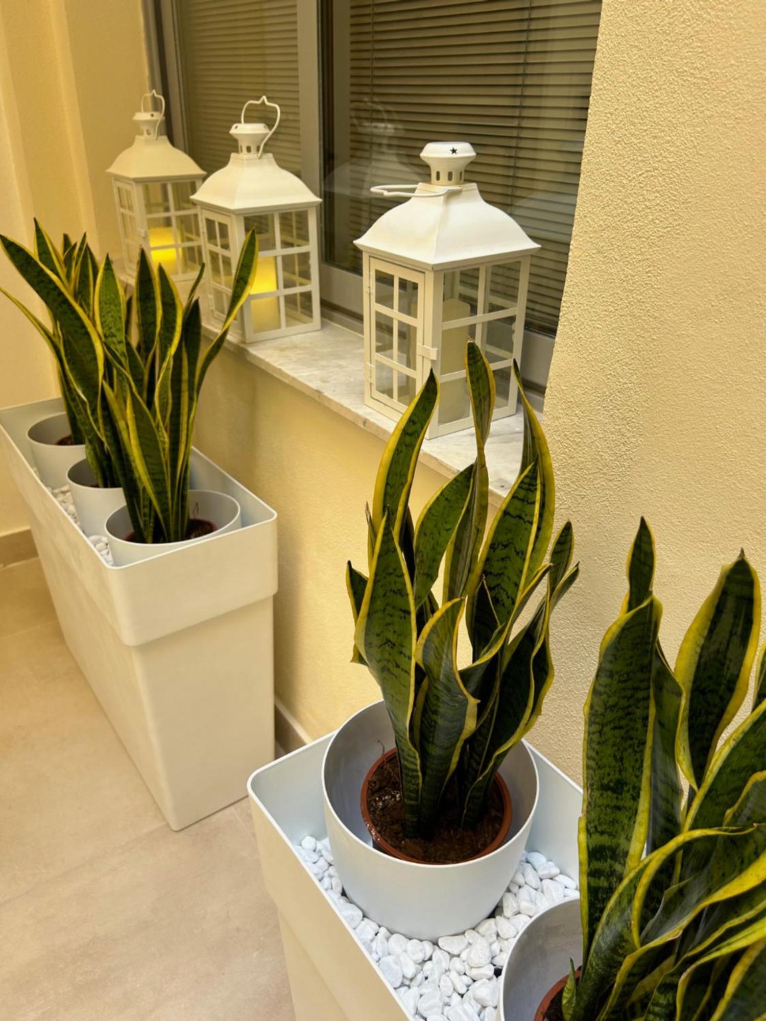 Casa Lounge Costituzione Hotel Cagliari Kültér fotó